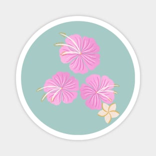 Pink hibiscus flowers Magnet